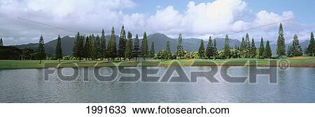 Hawaii, Kauai, Princeville Resort Golf Course, Lakes Course 18Th Hole, View From Across Water, Panoramic View Large Photo Image Stock Image - Hawaii, Kauai, Princeville Resort Golf Course, Lakes Course 18Th Hole, View From Across Water, Panoramic. Fotosearch