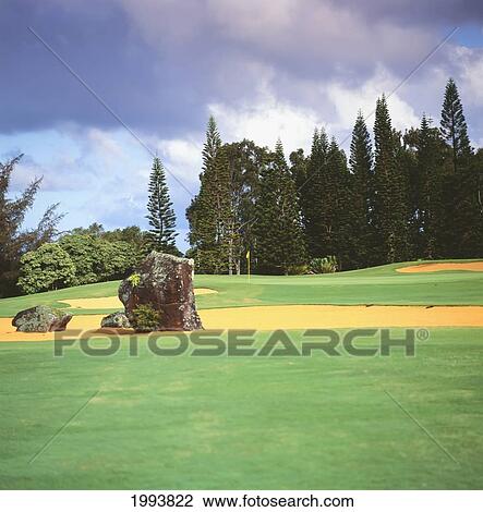 Hawaii, Kauai, Princeville Resort Golf Course, Woods Course, Green Rolling Hills Of The Fairway. View Large Photo Image Stock Image - Hawaii, Kauai, Princeville Resort Golf Course, Woods Course, Green Rolling Hills Of The Fairway.. Fotosearch