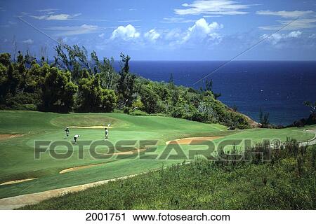 Hawaii, Kauai, Princeville Resort Golf Course, People Putting, Greenery With Ocean View View Large Photo Image Stock Image - Hawaii, Kauai, Princeville Resort Golf Course, People Putting, Greenery With Ocean View. Fotosearch
