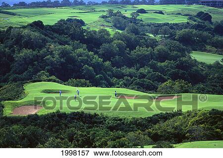 Hawaii, Kauai, Princeville Resort Golf Course Distant Overview With People Golfing View Large Photo Image Stock Photo - Hawaii, Kauai, Princeville Resort Golf Course Distant Overview With People Golfing. Fotosearch