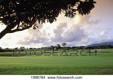 Hawaii, Kauai, Princeville Resort, Lake Golf Course, 5Th Hole, Afternoon Lighting View Large Photo Image Picture - Hawaii, Kauai, Princeville Resort, Lake Golf Course, 5Th Hole, Afternoon Lighting. Fotosearch