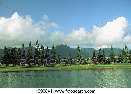 Hawaii, Kauai, Princeville Resort, Lake Golf Course View Large Photo Image Stock Image - Hawaii, Kauai, Princeville Resort, Lake Golf Course. Fotosearch