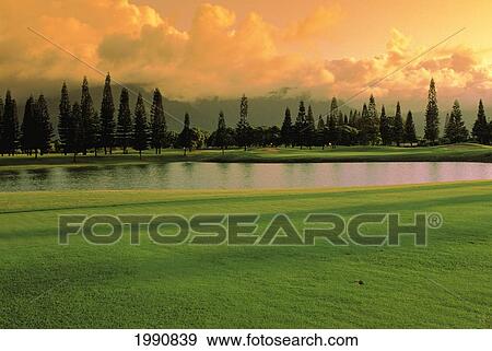Stock Photo - Hawaii, Kauai, Princeville Resort, Lake Golf Course. Fotosearch