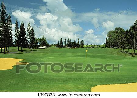 Hawaii, Kauai, Princeville Resort, Woods Golf Course View Large Photo Image Stock Image - Hawaii, Kauai, Princeville Resort, Woods Golf Course. Fotosearch