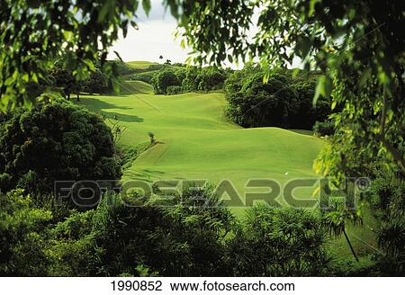 Hawaii, Kauai, Princeville Resort, Prince Golf Course View Large Photo Image Stock Image - Hawaii, Kauai, Princeville Resort, Prince Golf Course. Fotosearch