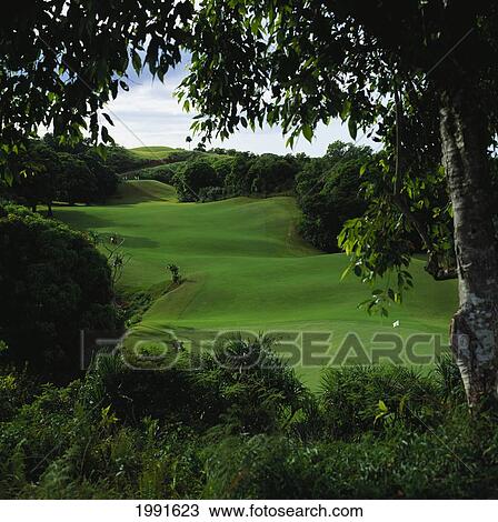 Hawaii, Kauai, Princeville Resort, Prince Course 12Th Hole, Greenery In Foreground View Large Photo Image Stock Image - Hawaii, Kauai, Princeville Resort, Prince Course 12Th Hole, Greenery In Foreground. Fotosearch