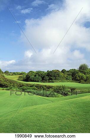 Stock Photo - Hawaii, Kauai, Princeville Resort, Prince Golf Course. Fotosearch