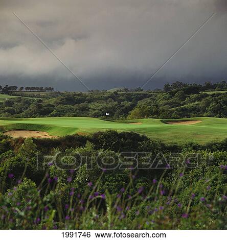 Hawaii, Kauai, Princeville Resort, Prince Course 7Th Hole, Flowers In Foreground View Large Photo Image Stock Photograph - Hawaii, Kauai, Princeville Resort, Prince Course 7Th Hole, Flowers In Foreground. Fotosearch