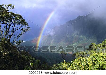 Hawaii, Kauai, Rainbow Over Kalalau Valley, Misty Clouds, Trees And Growth On Mountains View Large Photo Image Stock Photo - Hawaii, Kauai, Rainbow Over Kalalau Valley, Misty Clouds, Trees And Growth On Mountains. Fotosearch