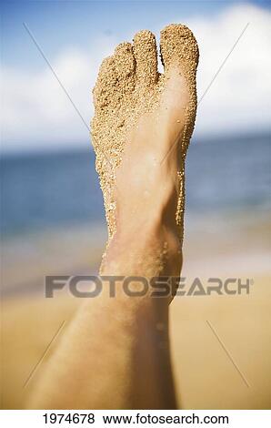 Hawaii, Kauai, Sandy Feet At The Beach. View Large Photo Image Stock Photo - Hawaii, Kauai, Sandy Feet At The Beach.. Fotosearch
