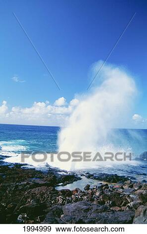 Hawaii, Kauai, South Shore, Poipu Beach, Spouting Horn Blow Hole. View Large Photo Image Stock Photo - Hawaii, Kauai, South Shore, Poipu Beach, Spouting Horn Blow Hole.. Fotosearch
