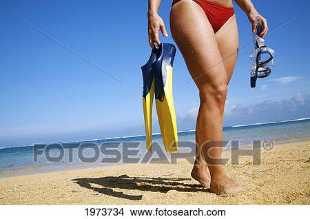 Picture - Hawaii, Kauai, Tunnels Beach, A Woman Wearing Yellow And Blue Fins And Snorkeling Gear On Beach.. Fotosearch