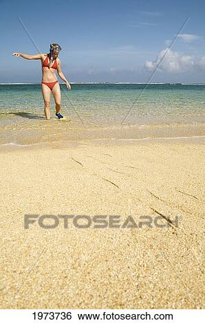 Stock Photograph - Hawaii, Kauai, Tunnels Beach, A Woman Wearing Yellow And Blue Fins And Snorkeling Gear On Beach.. Fotosearch
