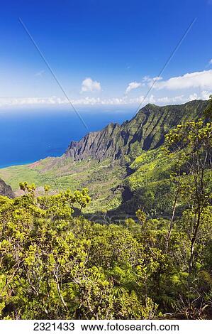 Stock Image - Hawaii, Kauai, View Of Kalalau Valley From Kokee Lookout. Fotosearch