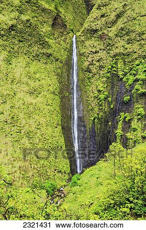 Hawaii, Kauai, Wailua, Beautiful Waterfall And Lush Jungle Cliffs View Large Photo Image Stock Image - Hawaii, Kauai, Wailua, Beautiful Waterfall And Lush Jungle Cliffs. Fotosearch