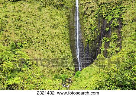 Hawaii, Kauai, Wailua, Beautiful Waterfall And Lush Jungle Cliffs View Large Photo Image Stock Image - Hawaii, Kauai, Wailua, Beautiful Waterfall And Lush Jungle Cliffs. Fotosearch