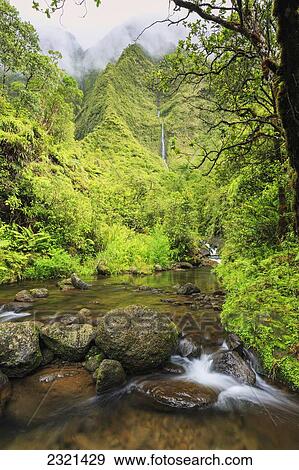Stock Photo - Hawaii, Kauai, Wailua, Beautiful Waterfall And Lush Jungle Stream. Fotosearch