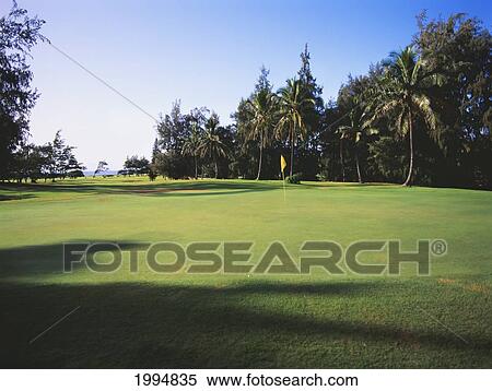 Stock Photography - Hawaii, Kauai, Wailua Municipal Golf Course, Green Grass And Palm Trees.. Fotosearch