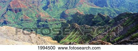 Hawaii, Kauai, Waimea Canyon, Green Valleys And Cliffs View Large Photo Image Stock Image - Hawaii, Kauai, Waimea Canyon, Green Valleys And Cliffs. Fotosearch