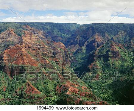 Hawaii, Kauai, Waimea Canyon, Steep Cliffs With Lush Greenery. View Large Photo Image Stock Photo - Hawaii, Kauai, Waimea Canyon, Steep Cliffs With Lush Greenery.. Fotosearch