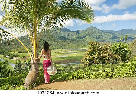 Picture - Hawaii, Kauai, Woman At Hanalei Valley Lookout.. Fotosearch