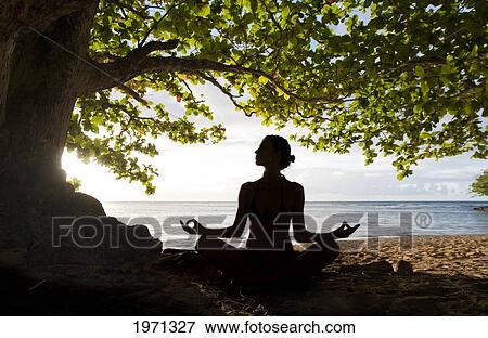Stock Photo - Hawaii, Kauai, Woman Doing Yoga On Beach Under Tree.. Fotosearch