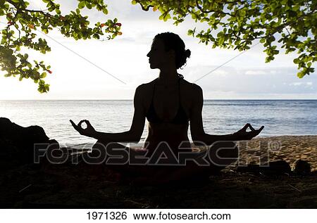 Hawaii, Kauai, Woman Doing Yoga On Beach Under Tree. View Large Photo Image Stock Photograph - Hawaii, Kauai, Woman Doing Yoga On Beach Under Tree.. Fotosearch