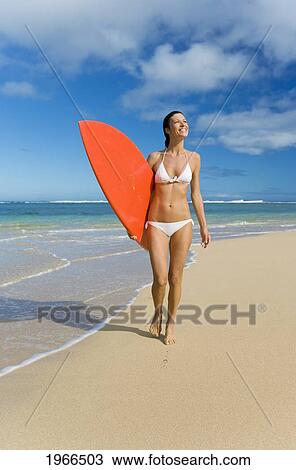 Hawaii, Kauai, Woman Walking Along Beach With Beach With Surfboard. View Large Photo Image Stock Image - Hawaii, Kauai, Woman Walking Along Beach With Beach With Surfboard.. Fotosearch