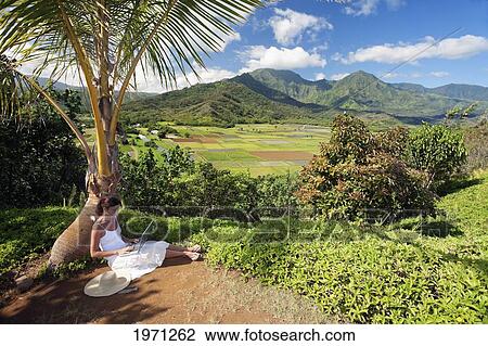 Stock Image - Hawaii, Kauai, Woman Working On Laptop Computer At Hanalei Valley Lookout.. Fotosearch