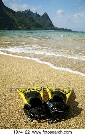 Stock Image - Hawaii, Kauai, Yellow Fins On Beach.. Fotosearch