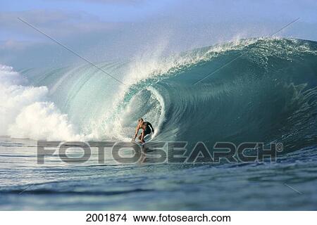 Hawaii, Kelly Slater Surfing Small Green Curling Wave, Smooth Interior View Large Photo Image Picture - Hawaii, Kelly Slater Surfing Small Green Curling Wave, Smooth Interior. Fotosearch