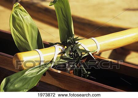Stock Image - Hawaii, Koa Outrigger Canoe, Detail Of Ti Leaf And Leis Wrapped Around Aku And Fastening.. Fotosearch