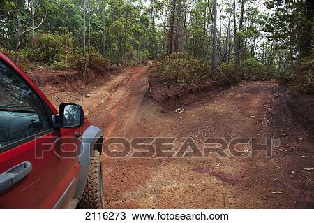 Stock Image - Hawaii, Lanai, A red truck on Munrow Trail.. Fotosearch