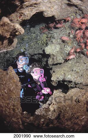 Stock Image - Hawaii, Lanai, First Cathedral Divers In Cavern Watch Soldierfish. Fotosearch