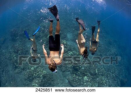 Stock Image - Hawaii, Lanai, Four friends diving to oceans floor, View from above.. Fotosearch