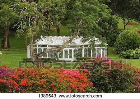 Stock Image - Hawaii, Lanai, Hulopoe Beach, Koele Ladge, Orchid House Among Flowers And Trees.. Fotosearch