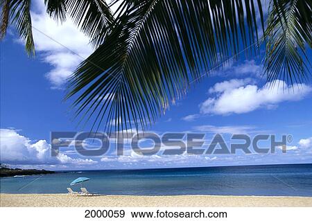 Stock Photo - Hawaii, Lanai, Hulopoe Beach, Palm Fronds In Foreground, Beach Chairs And Umbrella C1589. Fotosearch