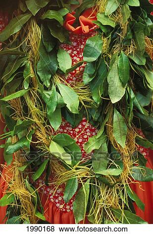 Stock Photo - Hawaii, Lanai, Kaunanoa, Traditional Hawaiian Flower Leis. Fotosearch