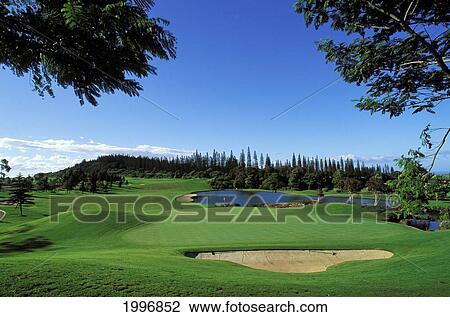 Hawaii, Lanai, Koele Golf Course Lodge View Large Photo Image Stock Image - Hawaii, Lanai, Koele Golf Course Lodge. Fotosearch