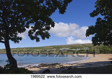 Hawaii, Lanai, Manele Bay Beach Park And Resort, View Of The Beach Through Dark Trees. View Large Photo Image Stock Image - Hawaii, Lanai, Manele Bay Beach Park And Resort, View Of The Beach Through Dark Trees.. Fotosearch