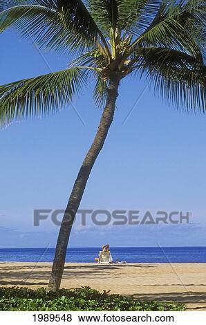 Hawaii, Lanai, Manele Bay Beach Park, Palm Tree And Woman On The Beach. View Large Photo Image Stock Photo - Hawaii, Lanai, Manele Bay Beach Park, Palm Tree And Woman On The Beach.. Fotosearch