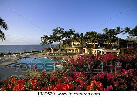 Hawaii, Lanai, Manele Bay Hotel, Pool Area With Bouganinvillea, Ocean View. View Large Photo Image Stock Photo - Hawaii, Lanai, Manele Bay Hotel, Pool Area With Bouganinvillea, Ocean View.. Fotosearch