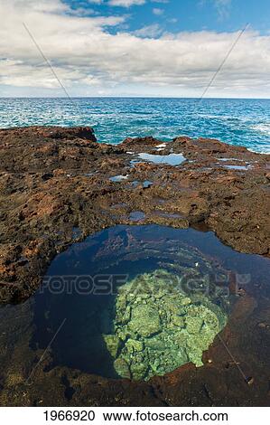 Hawaii, Lanai, Manele Bay, Tide Pool On Rocks In Hulopo'e Bay View Large Photo Image Stock Image - Hawaii, Lanai, Manele Bay, Tide Pool On Rocks In Hulopo'e Bay. Fotosearch