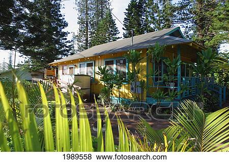 Stock Photo - Hawaii, Lanai, Pele's Garden Restaurant Viewed From Behind Palm Fronds.. Fotosearch