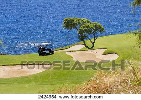 Picture - Hawaii, Lanai, The Challenge at Manele Golf course.. Fotosearch