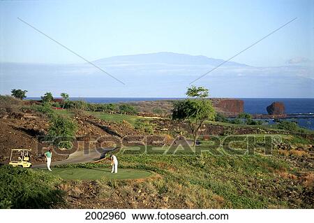 Hawaii, Lanai, The Challenge Golf Course At Manele, Couple On Green, Putting View Large Photo Image Stock Image - Hawaii, Lanai, The Challenge Golf Course At Manele, Couple On Green, Putting. Fotosearch
