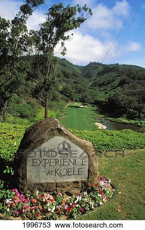 Hawaii, Lanai, The Experience At Koele Sign, View From Above Into Valley, 8Th Hole View Large Photo Image Stock Image - Hawaii, Lanai, The Experience At Koele Sign, View From Above Into Valley, 8Th Hole. Fotosearch