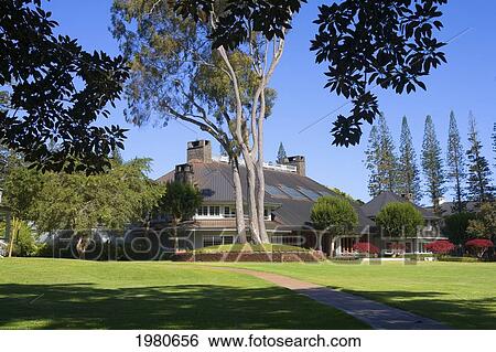 Hawaii, Lanai, The Lodge At Koele, Trees And Green Lawn. View Large Photo Image Stock Photograph - Hawaii, Lanai, The Lodge At Koele, Trees And Green Lawn.. Fotosearch