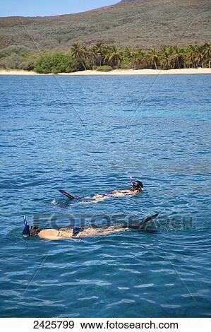 Stock Photo - Hawaii, Lanai, Two young women swim along ocean surface on a snorkeling adventure.. Fotosearch