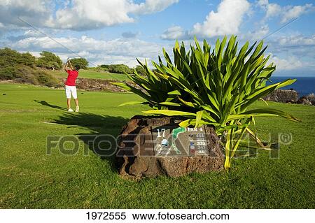 Hawaii, Lanai, Woman Hitting A Tee Shot On The Challenge At Manele Golf Course. View Large Photo Image Stock Photography - Hawaii, Lanai, Woman Hitting A Tee Shot On The Challenge At Manele Golf Course.. Fotosearch